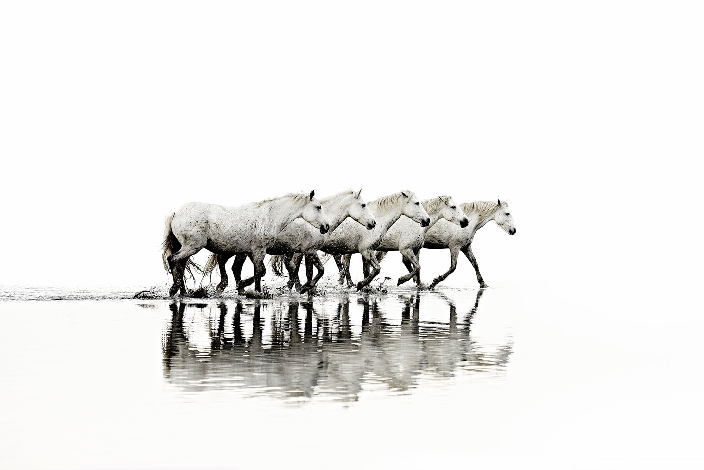 Take the Lead