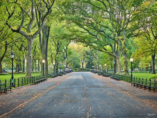 The Mall in Central Park