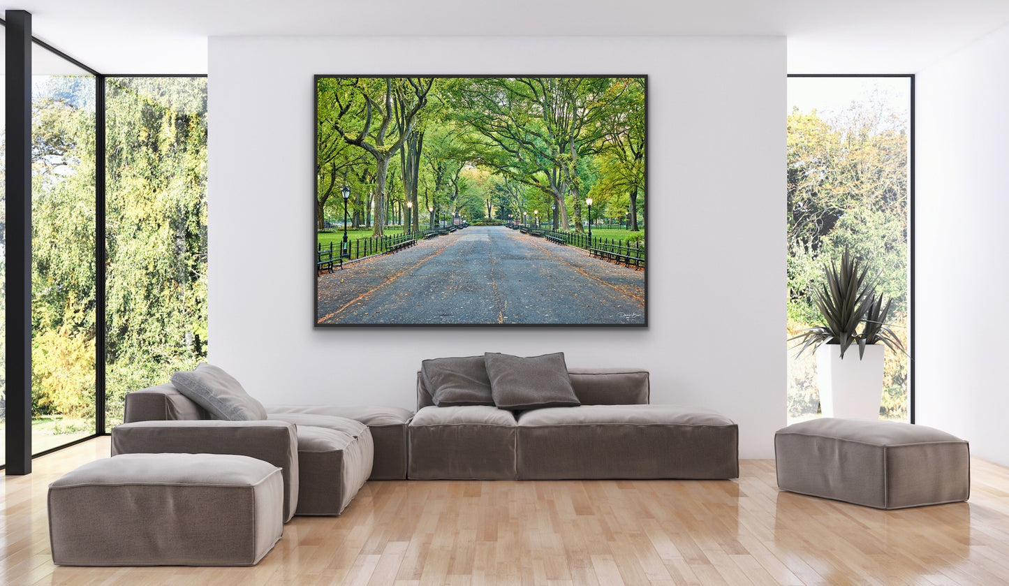 The Mall in Central Park - Black Frame
