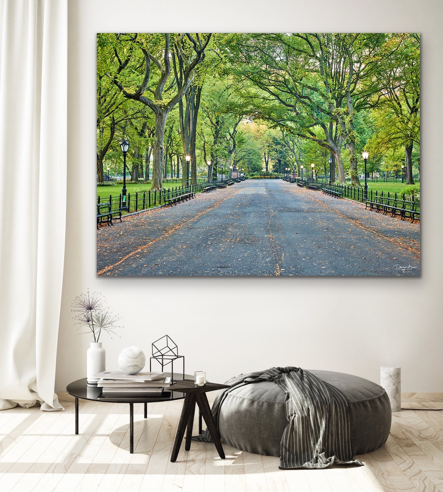 The Mall in Central Park - No Frame