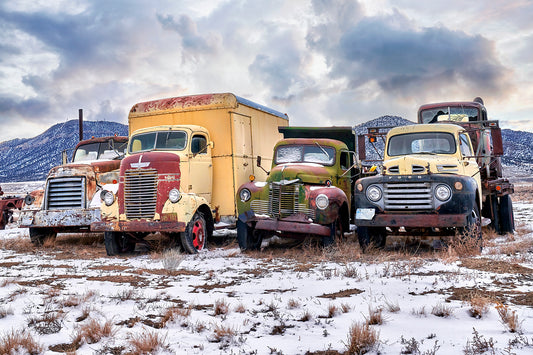 The Truck Graveyard