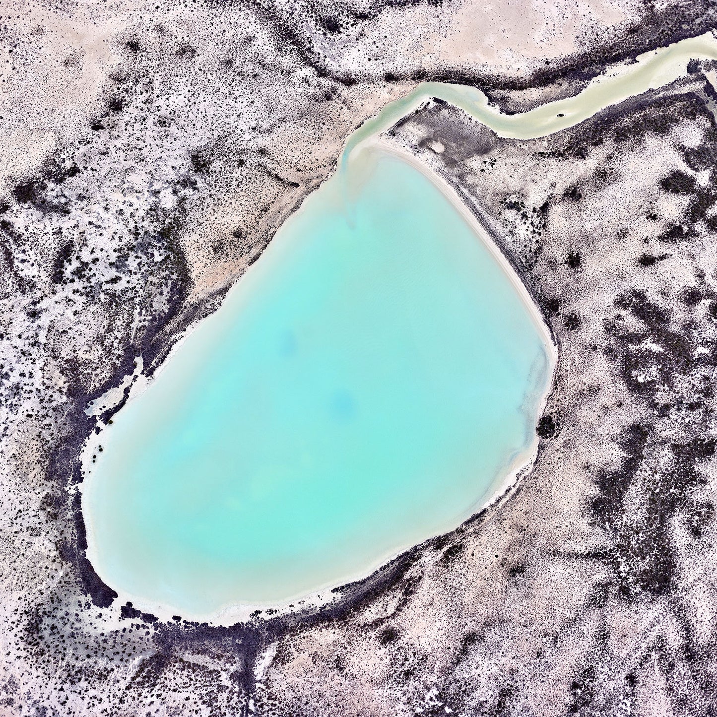 Turquoise Teardrop