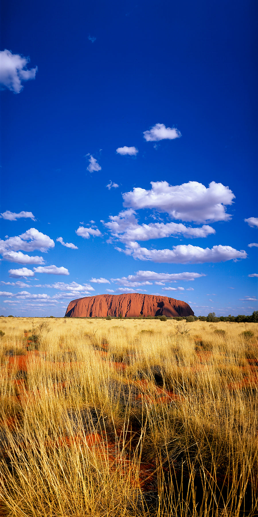 Uluru Greeting Card Set