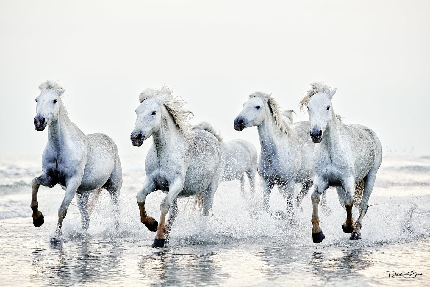 Unleashed