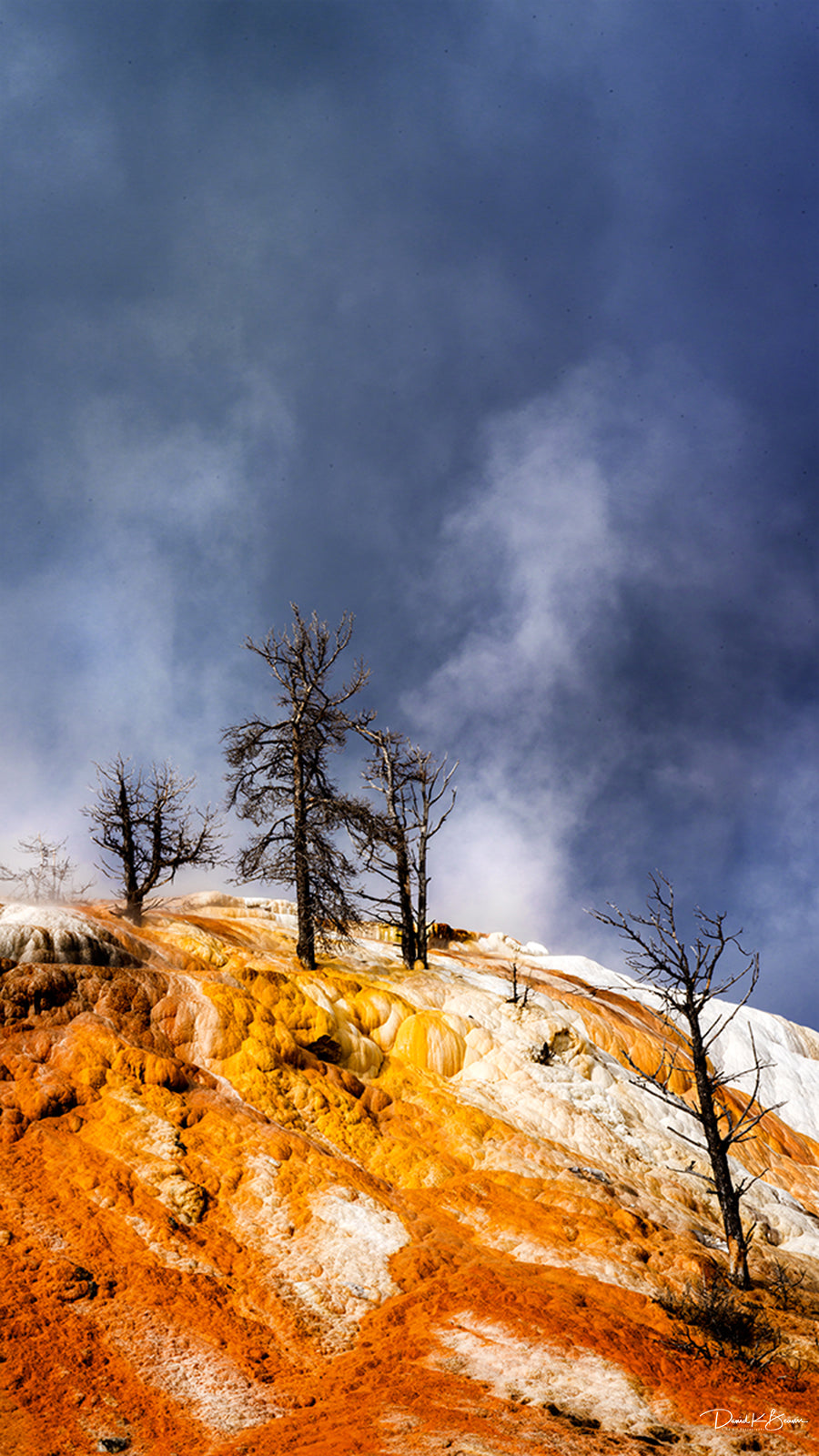 Yellowstone