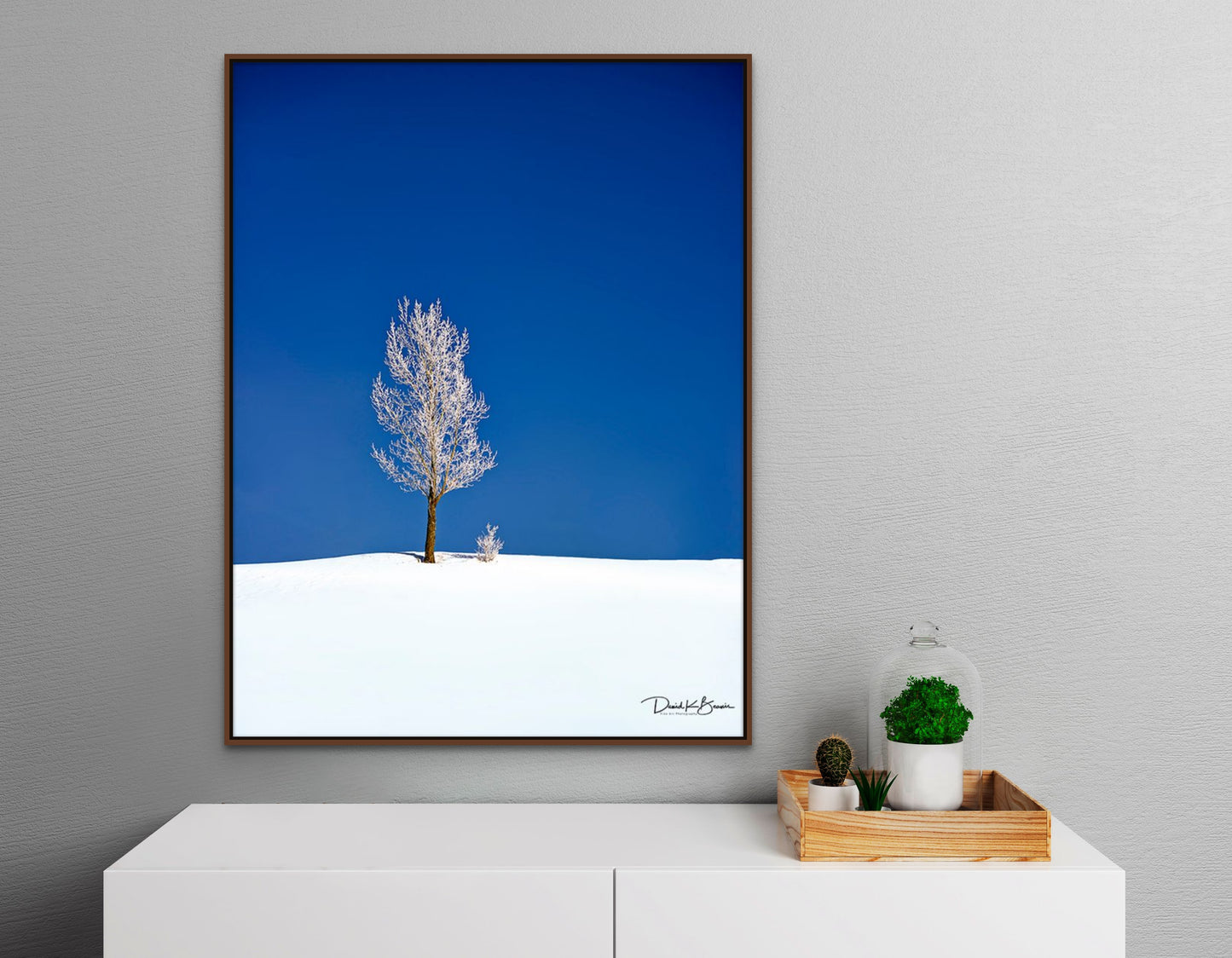 Nothing But Blue Skies