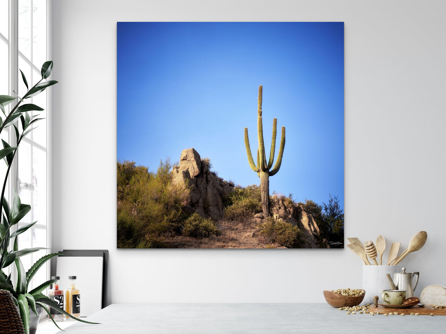 The Lone Cactus