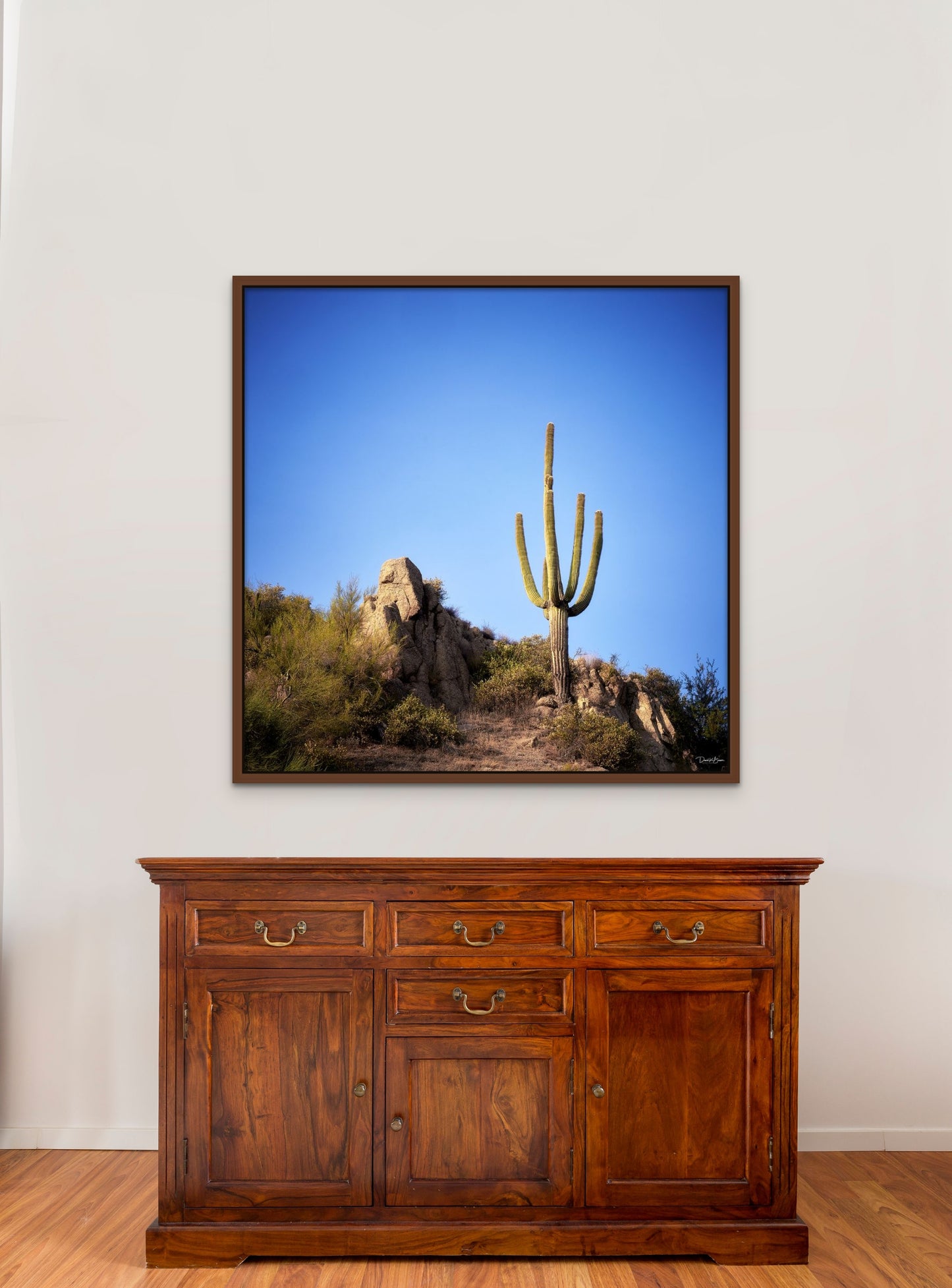 The Lone Cactus