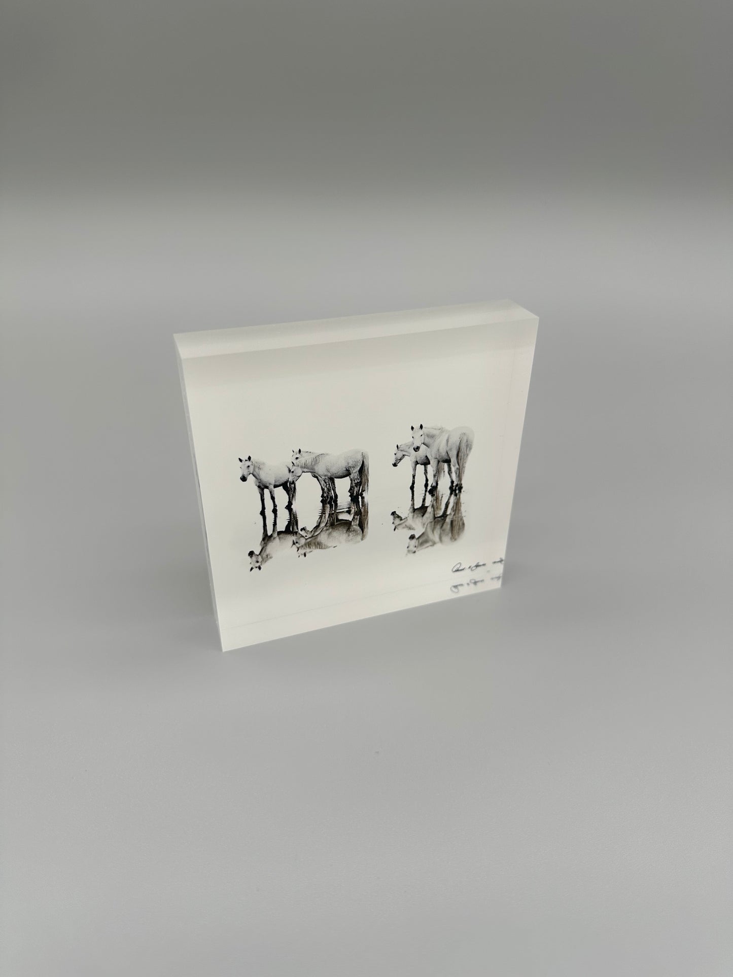 Upon Reflection Acrylic Block