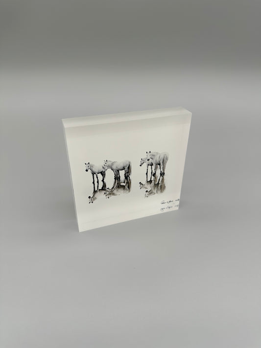 Upon Reflection Acrylic Block