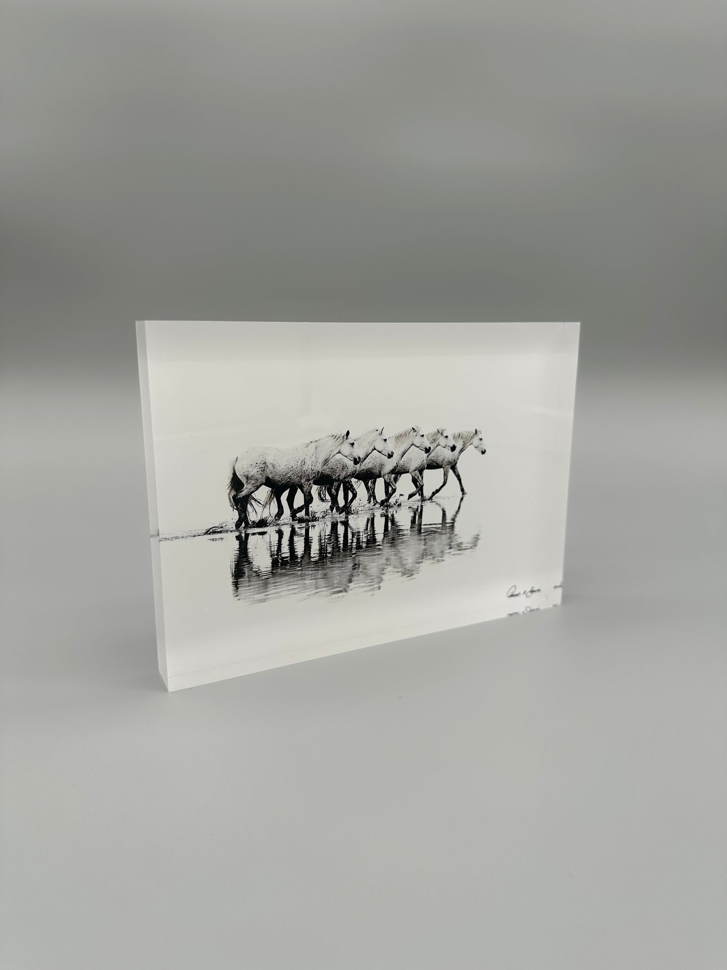 Acrylic block with a black and white photograph of horses on water