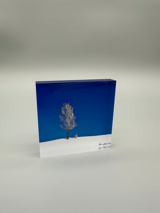 Acrylic block with a tree design on a blue and white background