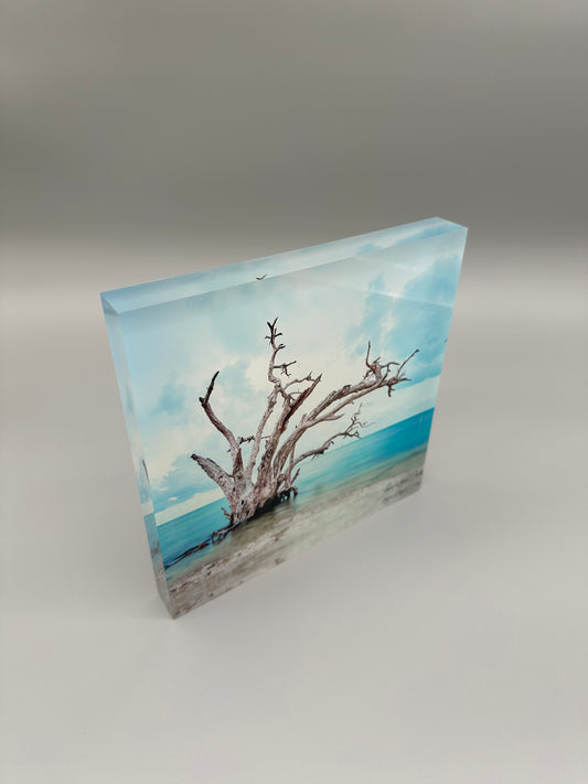Against All Odds Acrylic Block