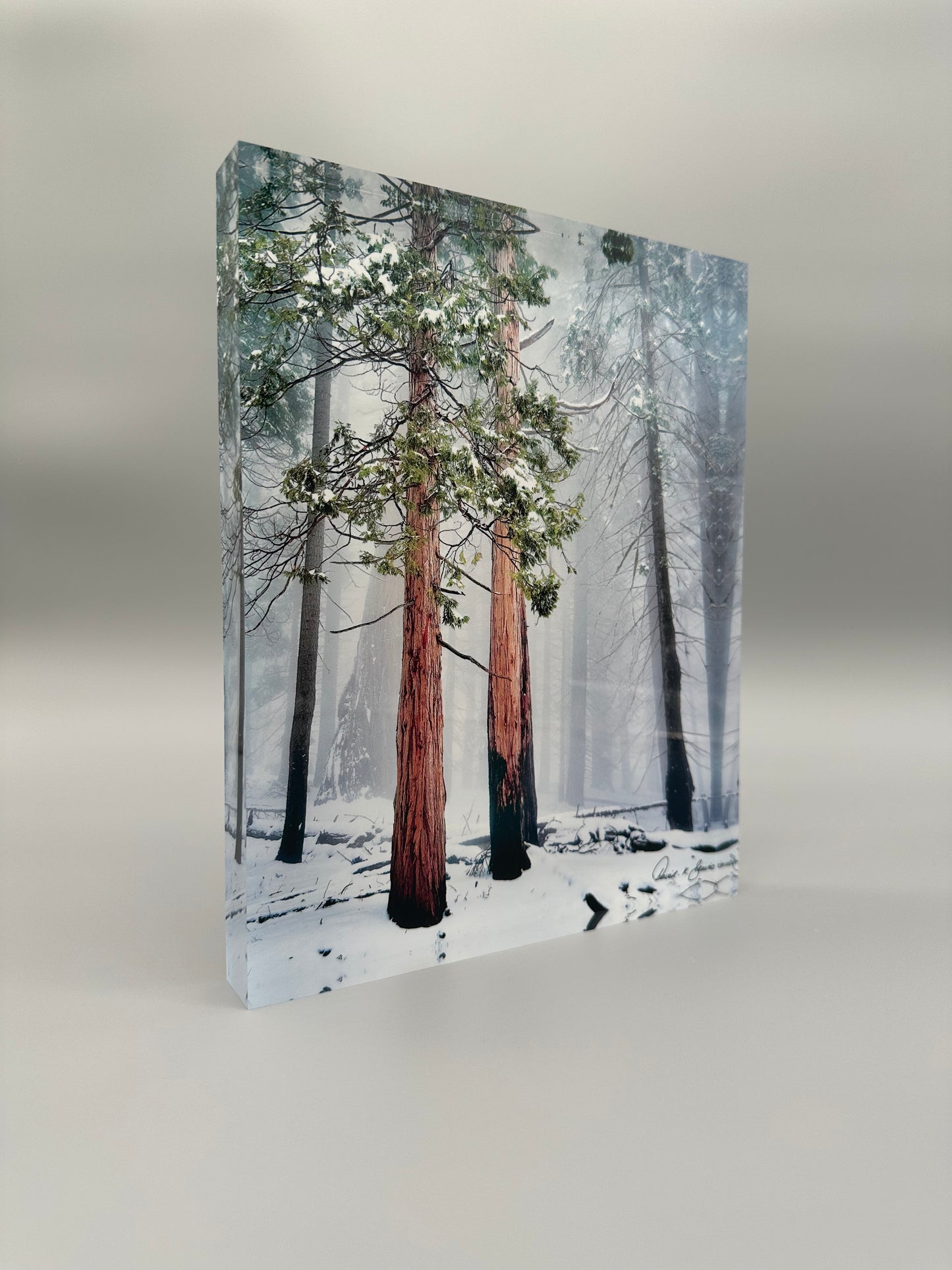 A Lifetime Together Acrylic Block