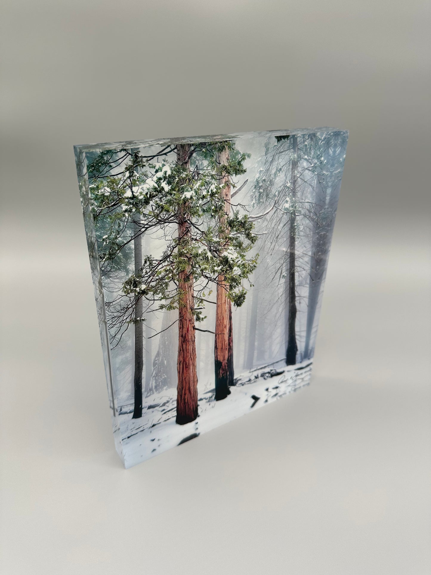 A Lifetime Together Acrylic Block