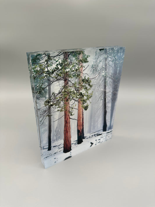 A Lifetime Together Acrylic Block