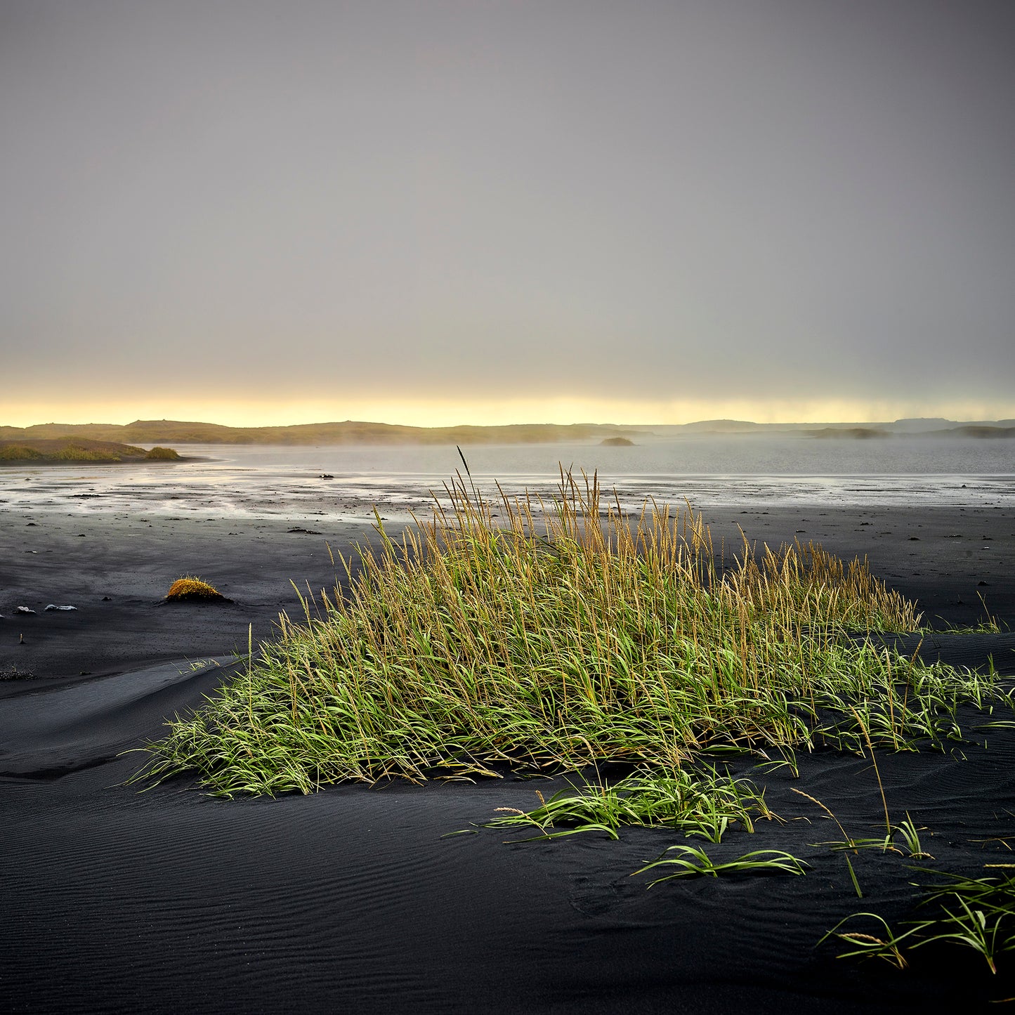 Icelandic Volcanic Black Sand Beach Print
