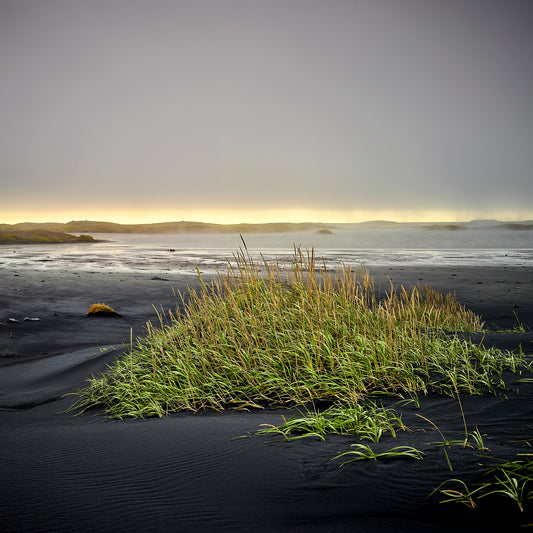 Icelandic Volcanic Black Sand Beach