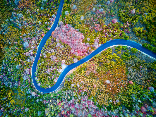 Image of a mountain road switchback photographed from above.