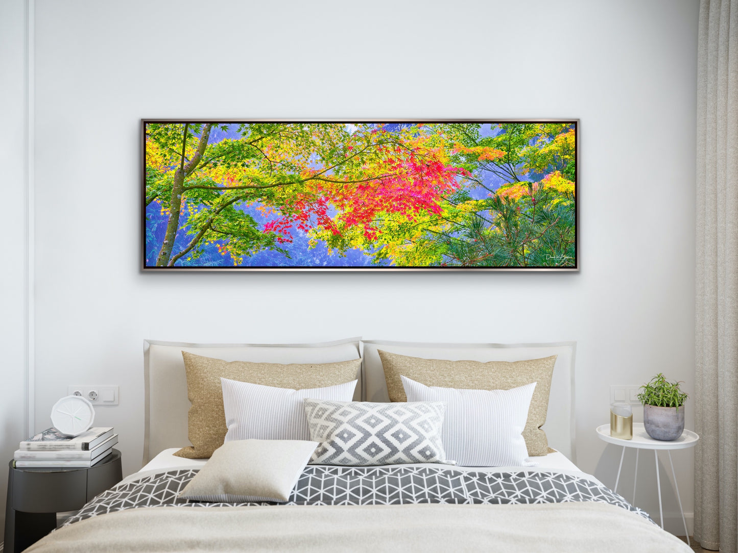 Colorful Canopy - Silver Frame