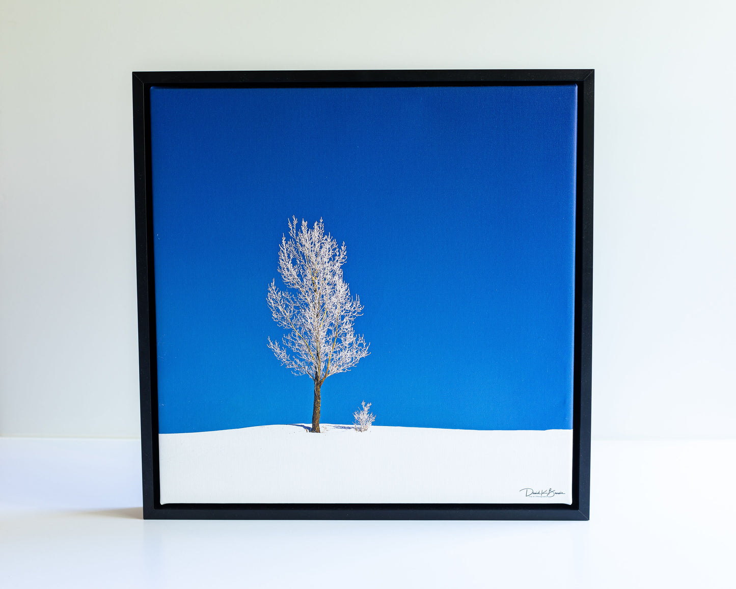 Nothing But Blue Skies Print