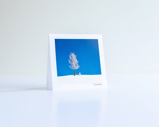 Nothing But Blue Skies Greeting Card