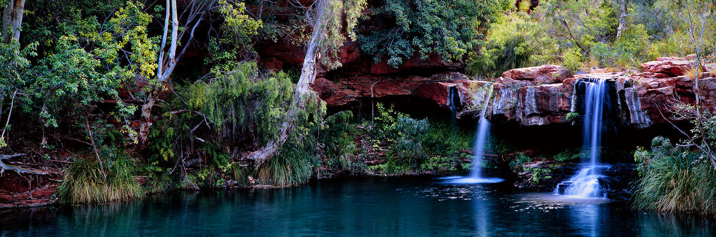 Fern Pool Print