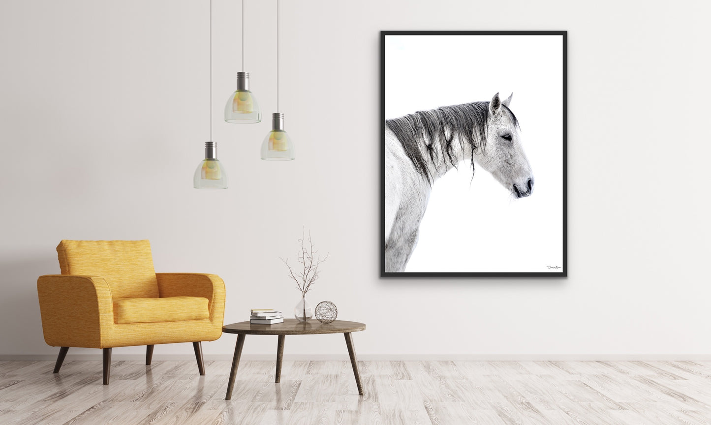 Horse with No Name - Black Frame