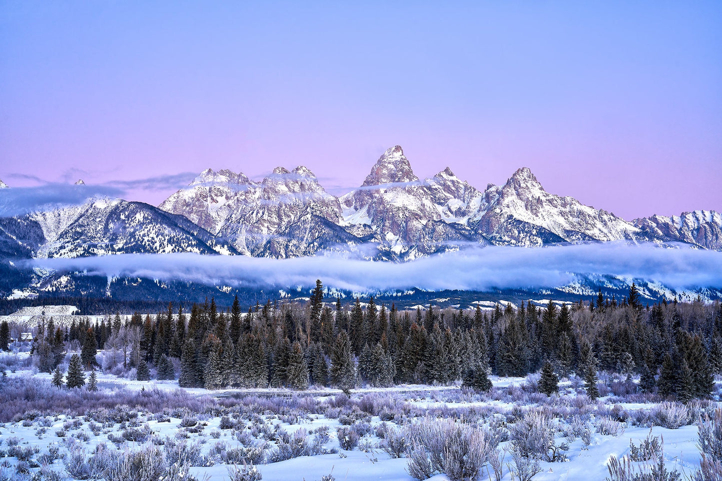 snow capped mountains in background. Snow covered trees and bushes in foreground