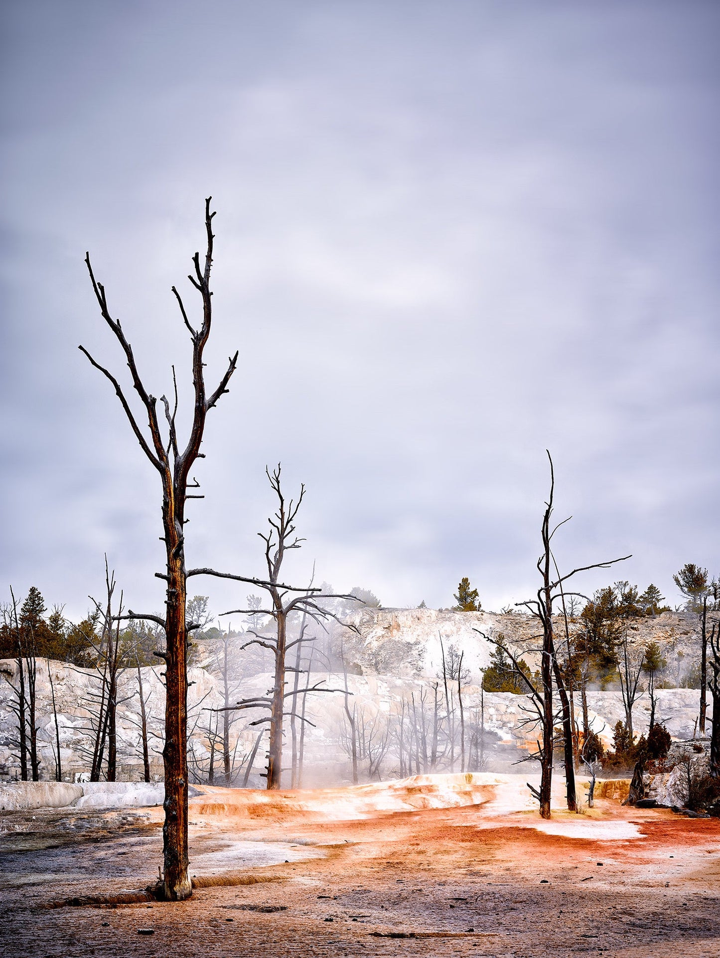 blue/grey sky, orange ground, mammoth hot springs