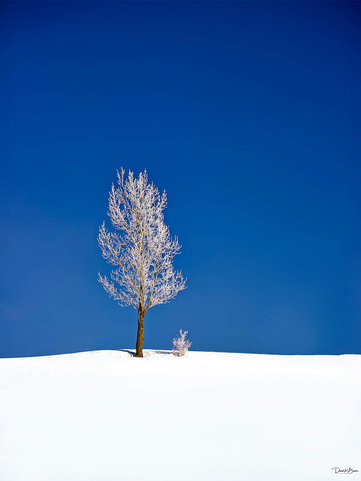 Nothing But Blue Skies