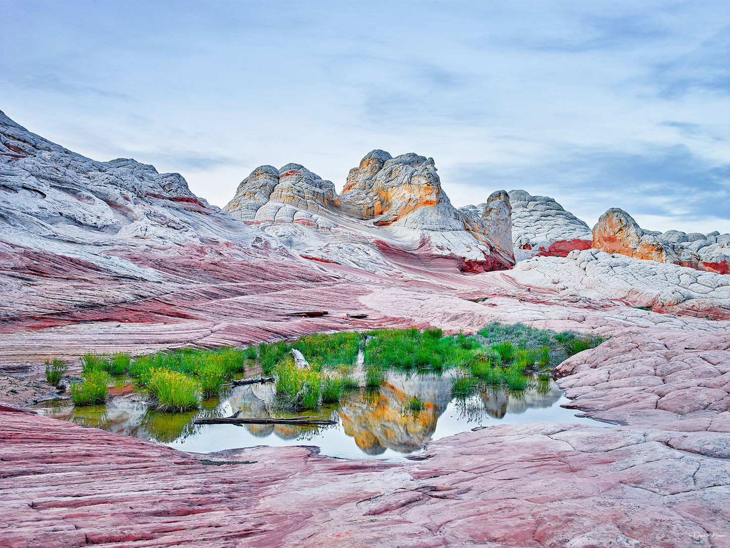 Reflections of White Pocket