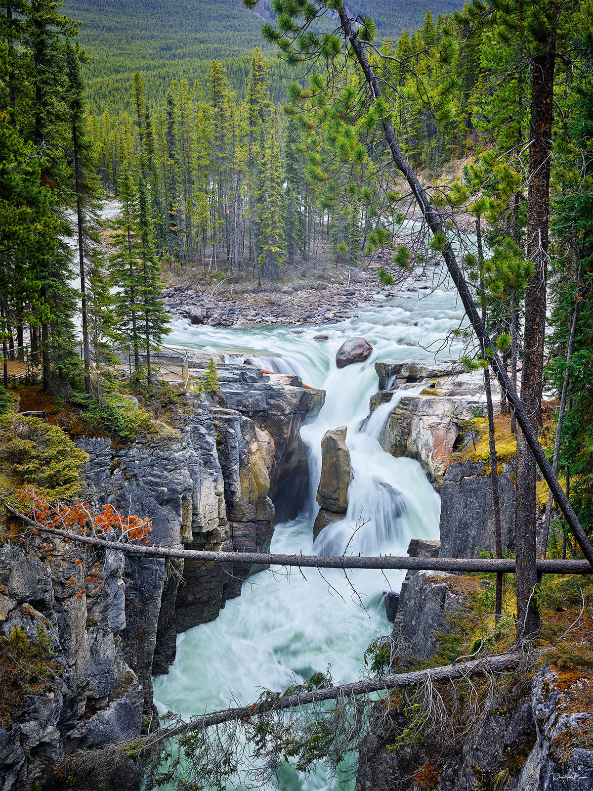 Sunwapta Falls