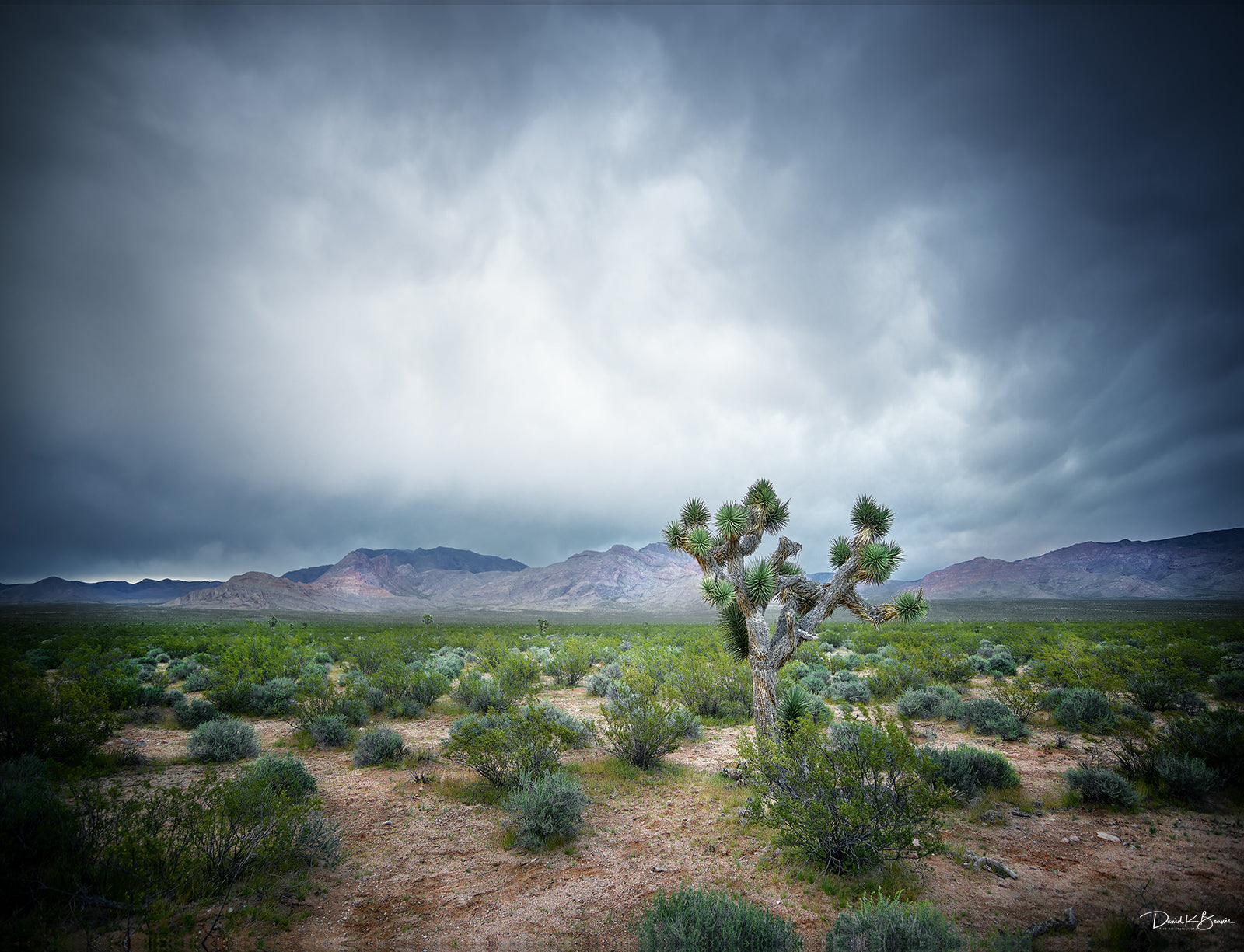 stormy clouds looming over joshua tree