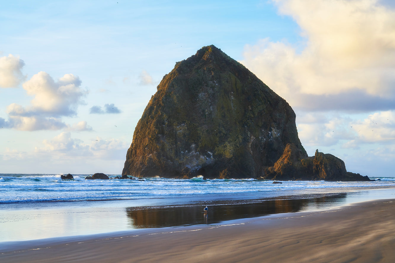 Limited Edition | Coastal Twilight – David Beavis Fine Art
