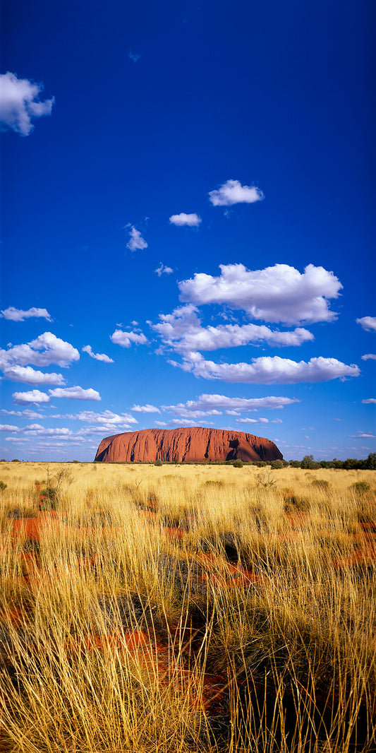 Uluru Greeting Card