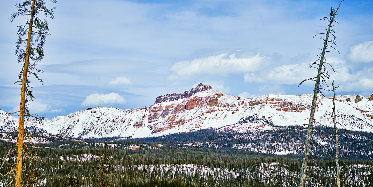 Winter in the Uintas