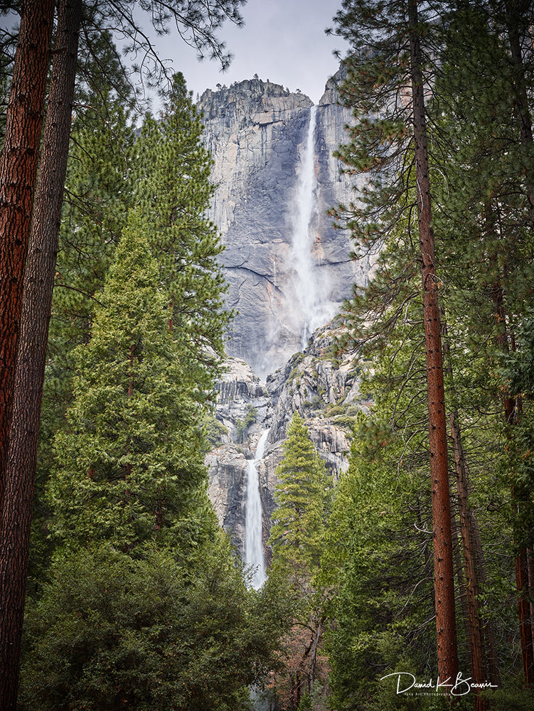 Yosemite Park